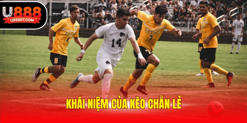 Khái niệm của kèo chẵn lẻ