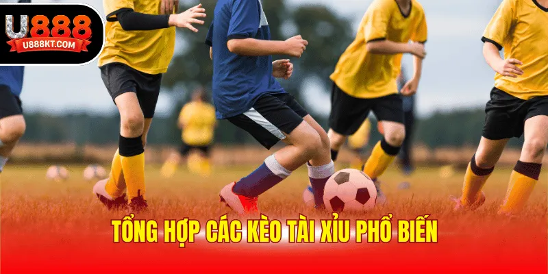 Các loại kèo tài xỉu phổ biến nhất